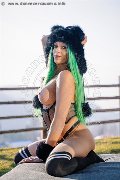Foto Kika Doncato Trans Verona 393 7317905 - 95