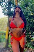 Foto Krissttal Ruizz Transescort Bologna 350 9582055 - 85
