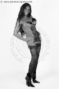 Foto La Black Star Jussara Carioca Trans Karlsruhe 0049 15205446913 - 6