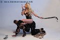 Foto Lady Ally Costa Mistresstrans Milano 344 6988792 - 12