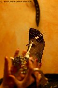 Foto Lady De Sade Italy Mistress Marina Di Carrara 339 2160761 - 6