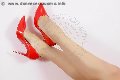 Foto Lady Shayla Mistress Cremona 344 5042331 - 5