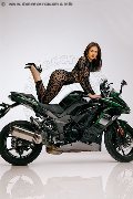 Foto Larissa Pornostar Trans Rimini 339 2148480 - 6