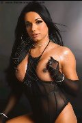 Foto Loren Trans Pesaro 389 0085359 - 10
