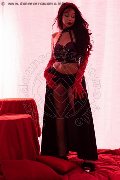 Foto Luciana Hot Trans Bergamo 339 7674731 - 19