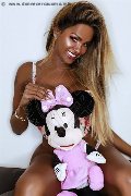Foto Maya Venere Trans Milano 393 6122116 - 243