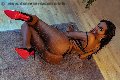 Foto Maya Venere Trans Milano 393 6122116 - 101