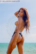 Foto Mell Trans 324 6024840 - 104