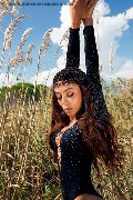 Foto Mell Trans 324 6024840 - 96