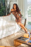 Foto Mell Trans Milano 324 6024840 - 12