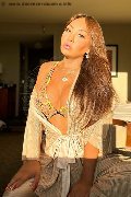 Foto Miss Isabella Trans 344 5148792 - 14