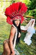 Foto Miss Pocahontas Trans Siena 339 8059304 - 55