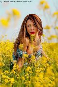 Foto Monica Kicelly Transescort Bologna 324 5833097 - 202