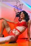 Foto Nicki Trans Alba 350 8099945 - 8