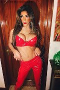 Foto Nicki Trans Alba 350 8099945 - 11