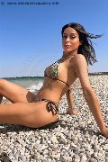 Foto Nicolly Di Biaggi Trans Montebelluna 389 1353499 - 51