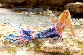 Foto Nina La Divina Transescort Ibiza 0034 617911341 - 105