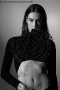 Foto Nyx Trans Milano 329 5371331 - 10