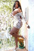 Foto Pamela Santina Transescort Massa 328 1998233 - 49