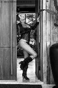 Foto Paty Ferrary Trans Rio De Janeiro 0055 21974294018 - 1