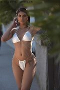 Foto Paula Bituschini Trans Brescia 389 8857998 - 114