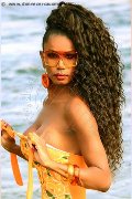 Foto Paula Xxl Trans Cannes 376 2961336 - 104
