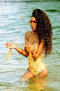 Foto Paula Xxl Trans Cannes 376 2961336 - 107