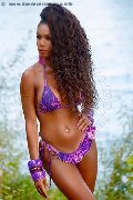 Foto Paula Xxl Trans Cannes 376 2961336 - 31