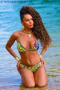 Foto Paula Xxl Trans Cannes 376 2961336 - 23
