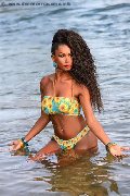 Foto Paula Xxl Trans Cannes 376 2961336 - 22