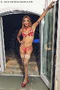 Foto Rayca Trans Berna 348 5638746 - 172
