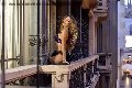 Foto Rayca Transescort Berna 348 5638746 - 236