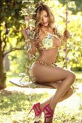 Foto Rayca Transescort San Gallo 348 5638746 - 265
