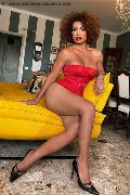Foto Riccia Trans Torino 366 3044467 - 35
