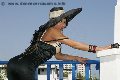 Foto Sabrina Hemolly Transescort Milano 331 2167077 - 38