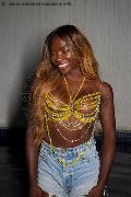 Foto Safira Snt'z  Trans Alba Adriatica 327 8243596 - 21