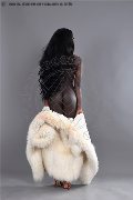 Foto Safira Snt'z  Trans Alba Adriatica 327 8243596 - 72