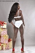 Foto Safira Sant'z  Transescort Alba Adriatica 327 8243596 - 68