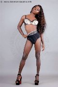 Foto Safira Sant'z  Transescort Alba Adriatica 327 8243596 - 47