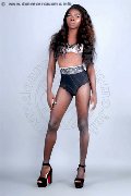 Foto Safira Sant'z  Transescort Alba Adriatica 327 8243596 - 46