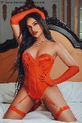 Foto Sammi Asiatica Trans Milano 392 6226622 - 1