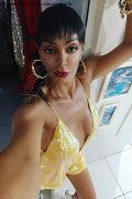 Bergamo Trans Kartika 349 22 31 753 foto selfie 246
