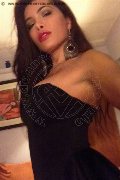 Marina Di Massa Trans Katryne Sexy 320 27 24 045 foto selfie 23