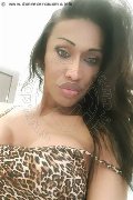 Mogliano Veneto Trans Escort Lara 329 34 14 239 foto selfie 17