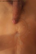 Legnano Trans Laviny Albuquerque Pornostar 389 00 19 370 foto selfie 174
