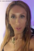Legnano Trans Escort Leyla 338 33 98 084 foto selfie 22