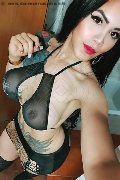 Amsterdam Trans Escort Lissandra  0031645710434 foto selfie 14