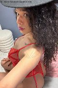 Novara Trans Miele 331 78 08 280 foto selfie 2