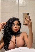 Novara Trans Escort Miele 331 78 08 280 foto selfie 36