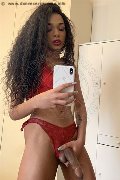 Novara Trans Escort Miele 331 78 08 280 foto selfie 79